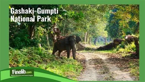  Gashaka-Gumti National Park: Trải nghiệm thiên nhiên hoang dã và vẻ đẹp bất tận!