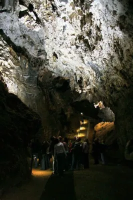  The Sterkfontein Caves: Uncovering Ancient Secrets and Prehistoric Mysteries!